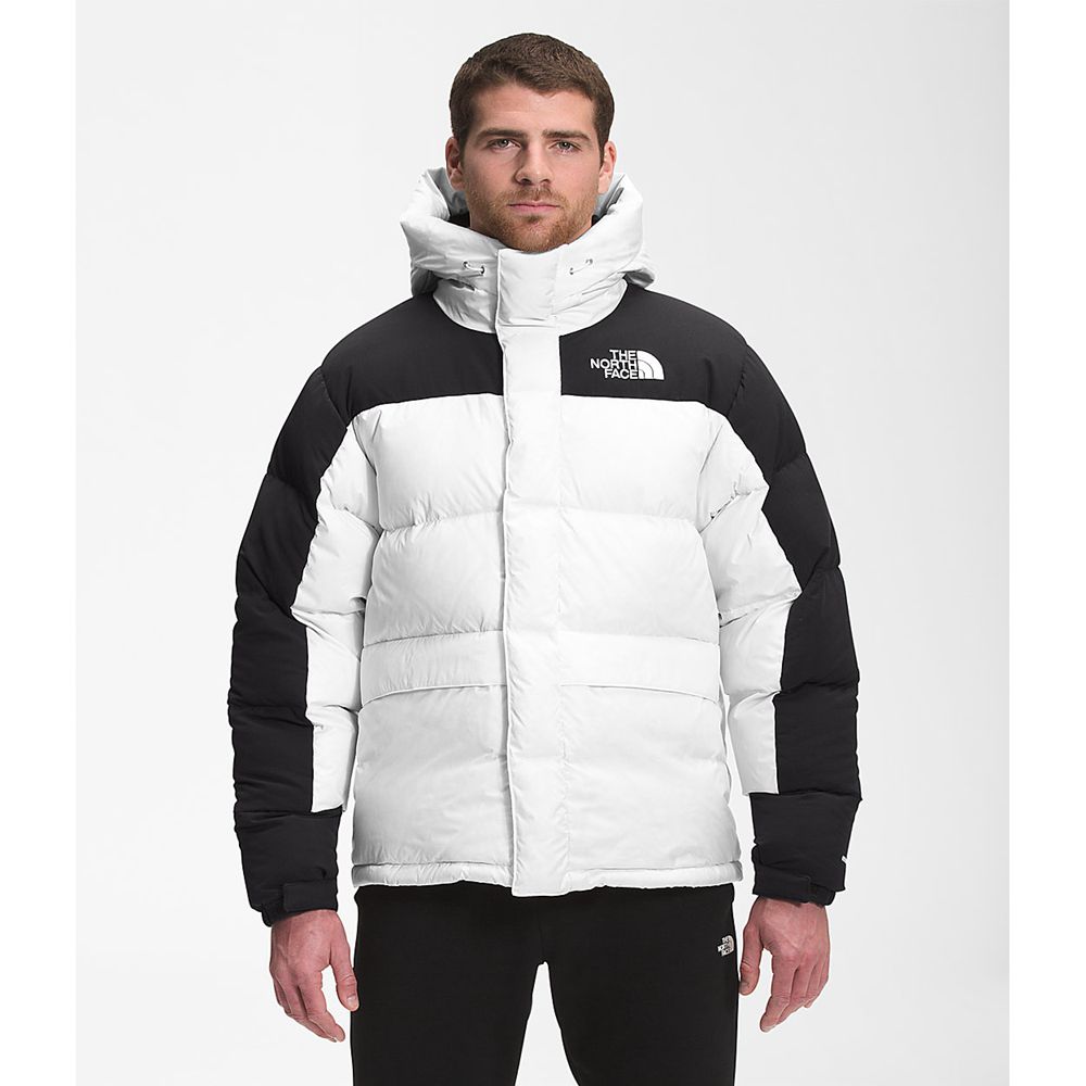 The North Face Parka Mens Australia - The North Face Hmlyn White (SWV-284906)